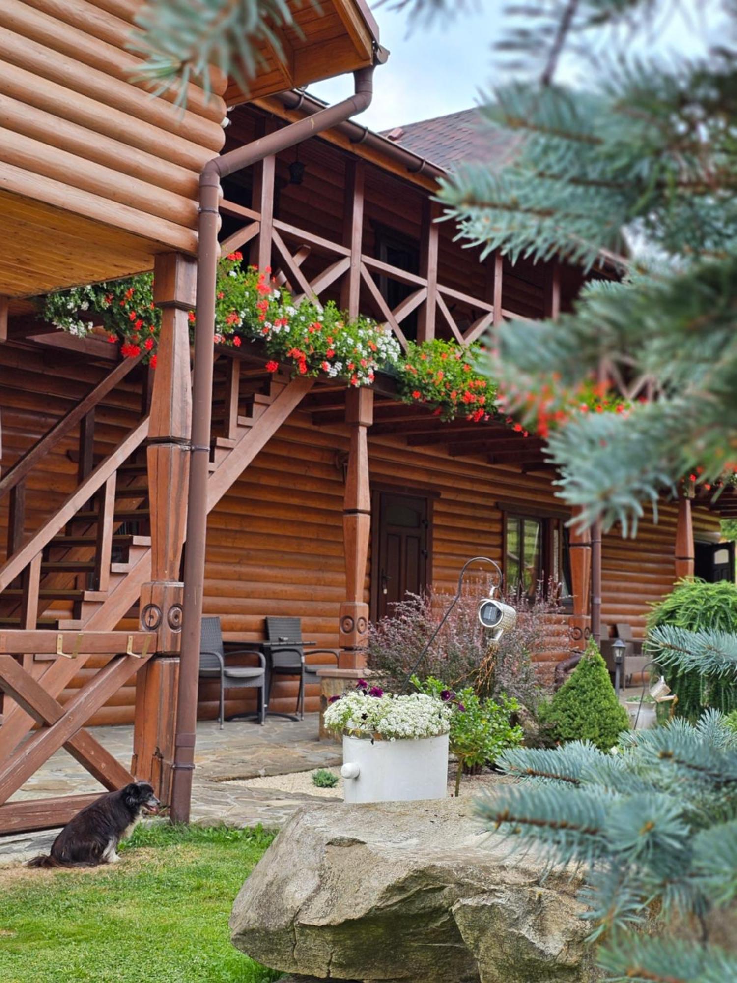 Guesthouse Kolo Druziv Tatariv Exterior photo